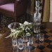 Набор для водки "По капельке", на 6 персон, Avdeev Crystal, хрусталь