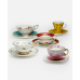 55605002412 Чайная пара "Harlequin", цвет желтый Wedgwood