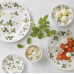 50105502031 Пиала для завтрака 15.5 см, "Wild Strawberry", Wedgwood